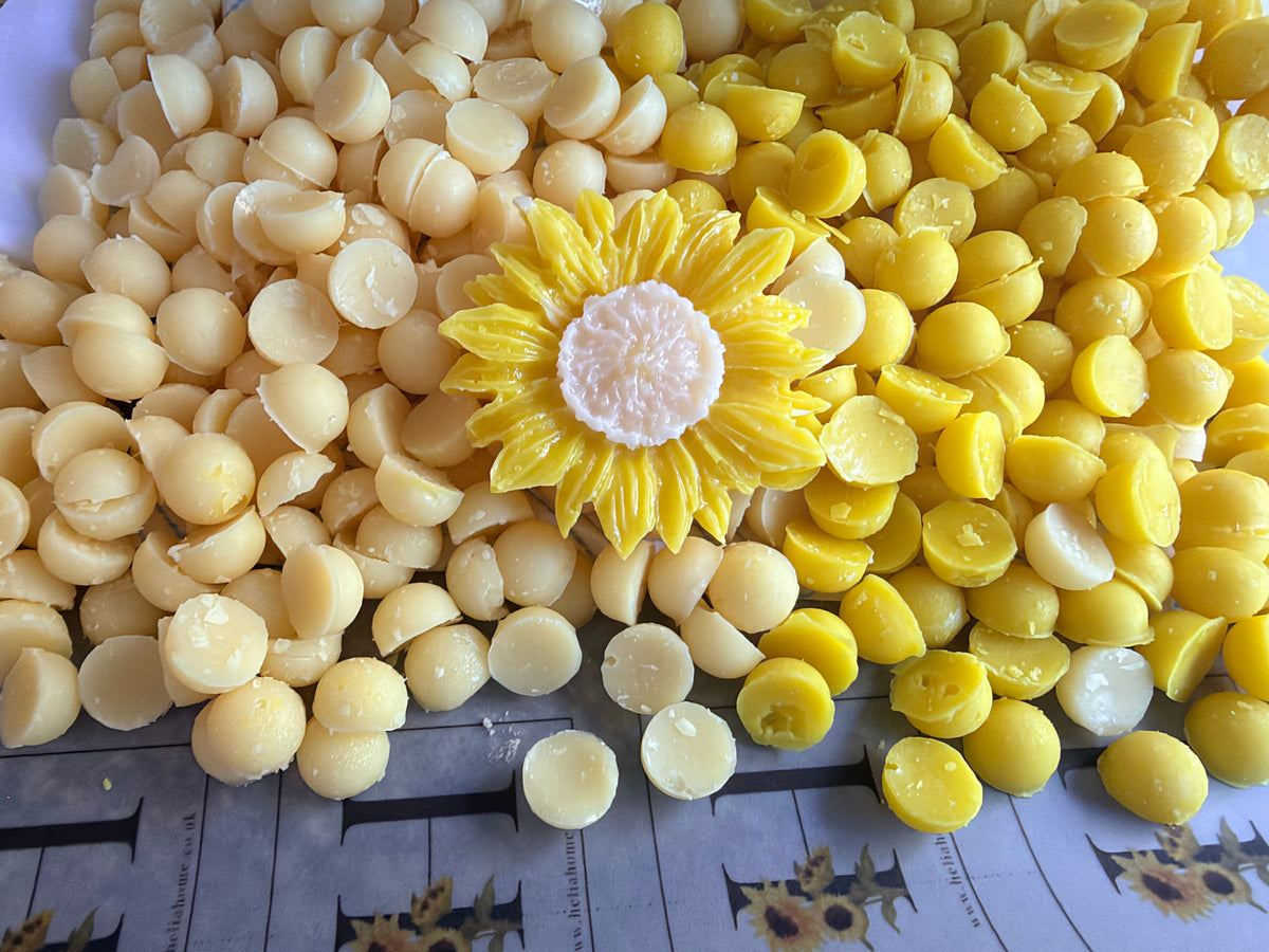 Banana Scoopies